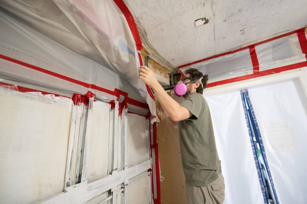 Best Emergency Mold Remediation  in Cementon, PA